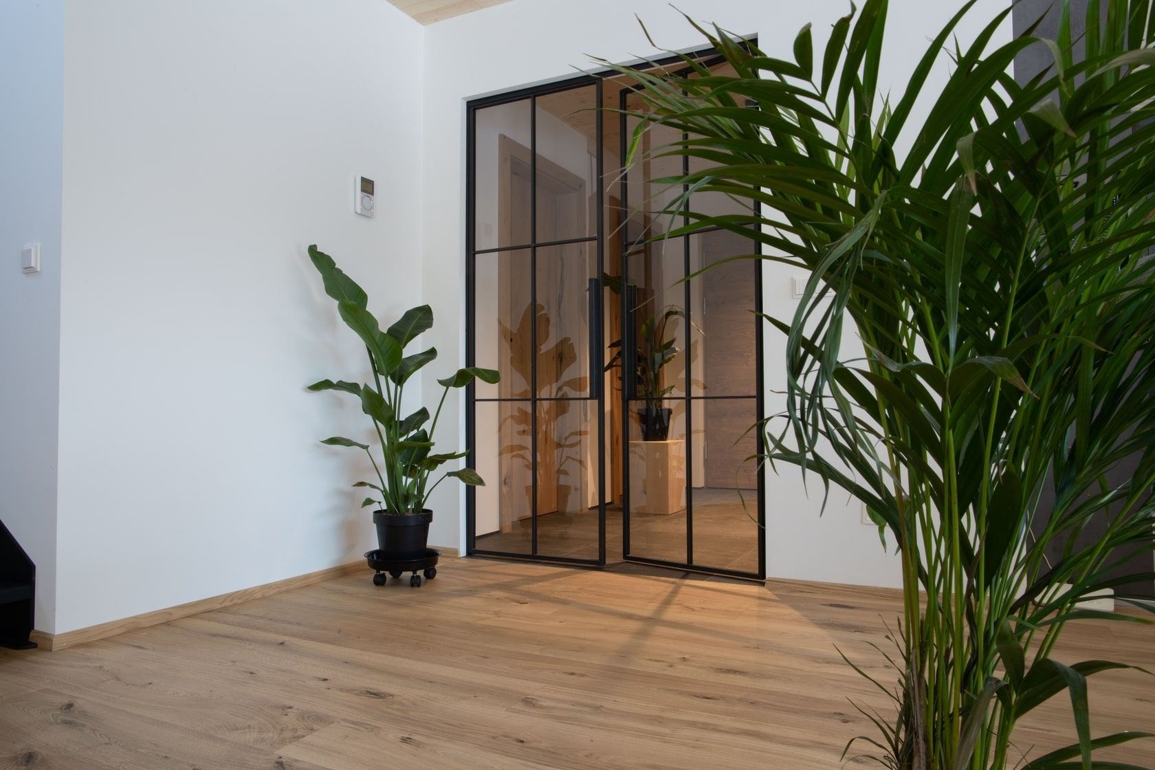 Ein Zimmer mit einer Glastür mit einer Pflanze in der Ecke und im Vordergrund